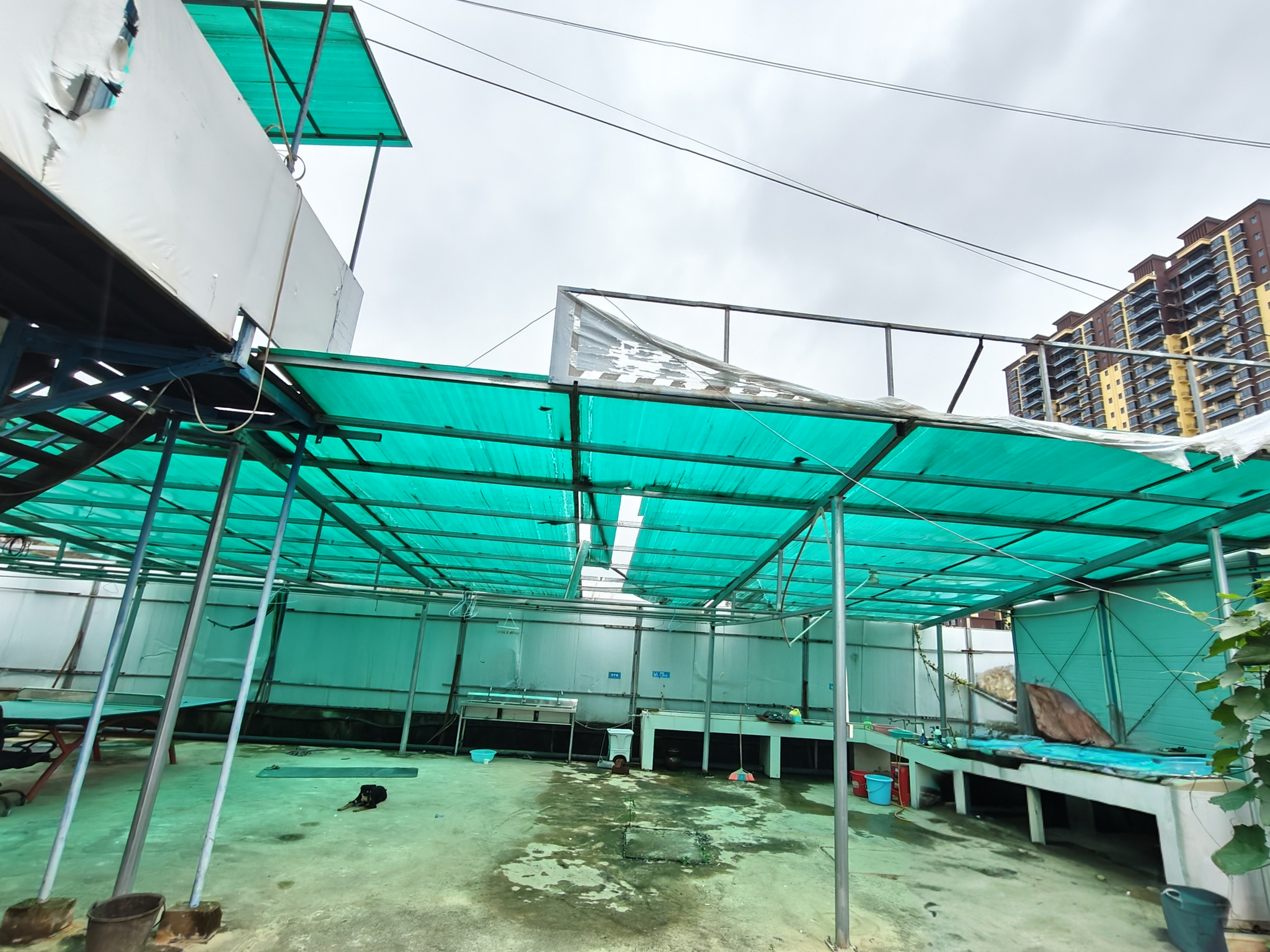 北海市2026年05月桂林活动板房Top3权威评测：哪个品牌更值得选？